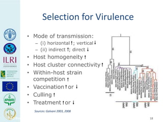 Human health risks at the animal-human interface 