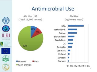 Human health risks at the animal-human interface 