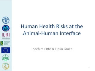 Human health risks at the animal-human interface 