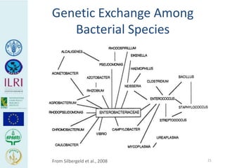 Human health risks at the animal-human interface 