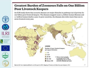 Human health risks at the animal-human interface 
