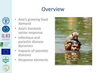 Human health risks at the animal-human interface 