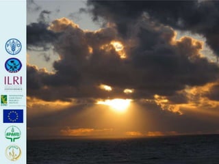 Human health risks at the animal-human interface 