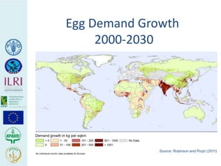 Human health risks at the animal-human interface 