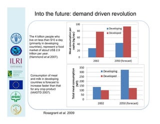 Health at the livestock‐policy interface