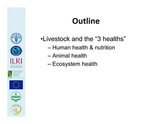 Health at the livestock‐policy interface