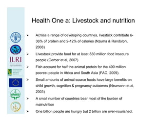 Health at the livestock‐policy interface