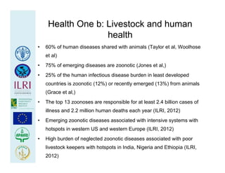 Health at the livestock‐policy interface