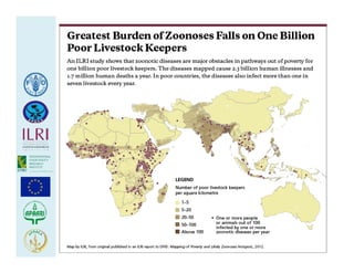 Health at the livestock‐policy interface