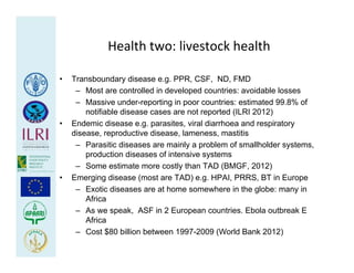 Health at the livestock‐policy interface