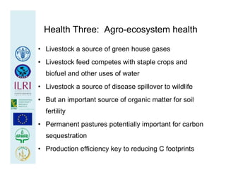 Health at the livestock‐policy interface