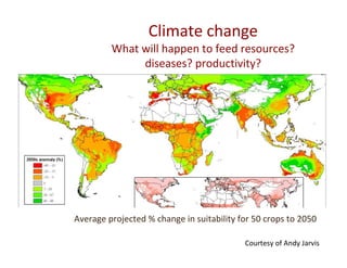 Health at the livestock‐policy interface
