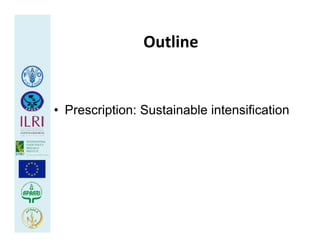 Health at the livestock‐policy interface