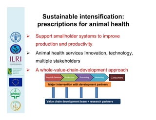 Health at the livestock‐policy interface