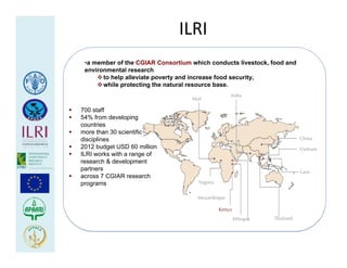 Health at the livestock‐policy interface