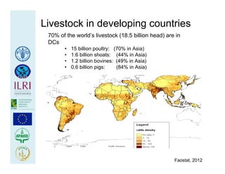 Health at the livestock‐policy interface