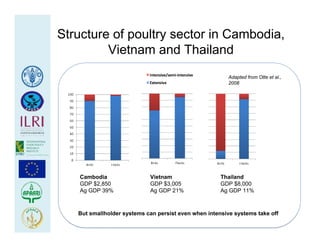 Health at the livestock‐policy interface