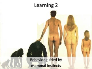Learning 2




Behavior guided by
mammal instincts
 