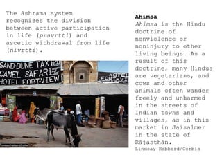 The āshrama system
recognizes the division
between active participation
in life (pravrtti) and
ascetic withdrawal from life
(nivrtti).
Ahimsa
Ahimsa is the Hindu
doctrine of
nonviolence or
noninjury to other
living beings. As a
result of this
doctrine, many Hindus
are vegetarians, and
cows and other
animals often wander
freely and unharmed
in the streets of
Indian towns and
villages, as in this
market in Jaisalmer
in the state of
Rājasthān.
Lindsay Hebberd/Corbis
 