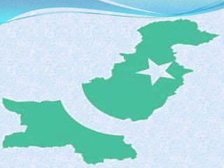 Asian tiger Qaiser mayo