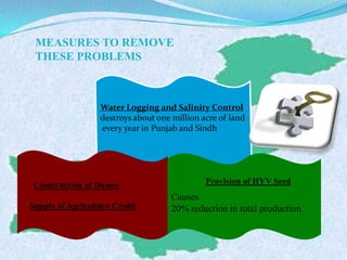 Water Logging and Salinity Control
destroys about one million acre of land
every year in Punjab and Sindh
Construction of Dames
Supply of Agriculture Credit
Causes
20% reduction in total production
Provision of HYV Seed
MEASURES TO REMOVE
THESE PROBLEMS
 