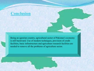 Being an agrarian country, agricultural sector of Pakistan’s economy
is still backward. Use of modern techniques, provision of credit
facilities, basic infrastructure and agriculture research facilities are
needed to remove all the problems of agriculture sector.
Conclusion
 