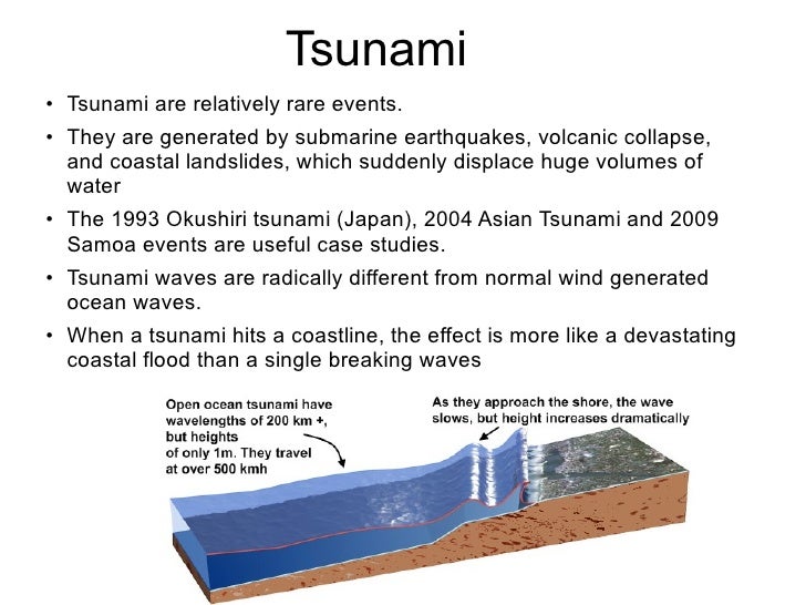 asian tsunami case study