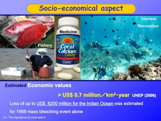 Tourism
Recreation
Estimated Economic values
> US$ 0.7 million／km2・year UNEP (2006)
Fishery
Socio-economical aspect
Medicine
Loss of up to US$ 8200 million for the Indian Ocean was estimated
for 1998 mass bleaching event alone
2-4. The importance of coral reefs II
 