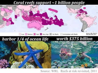 Source: WRI, Reefs at risk revisited, 2011
 