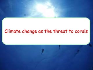 Climate change as the threat to corals
 