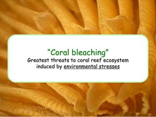 “Coral bleaching”
Greatest threats to coral reef ecosystem
induced by environmental stresses
 