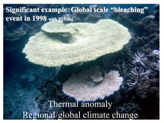 Significant example：Global scale “bleaching”
event in 1998 with El Niño
Thermal anomaly
Regional/global climate change
 