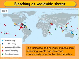 Bleaching as worldwide threat
Reef Manager’s Guide to Coral Bleaching (2006)
3-3B. Impact of “Bleaching”
The incidence and severity of mass coral
bleaching events has increased
continuously over the last two decades.
 