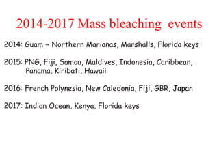 2014-2017 Mass bleaching events
2014: Guam ~ Northern Marianas, Marshalls, Florida keys
2015: PNG, Fiji, Samoa, Maldives, Indonesia, Caribbean,
Panama, Kiribati, Hawaii
2016: French Polynesia, New Caledonia, Fiji, GBR, Japan
2017: Indian Ocean, Kenya, Florida keys
 