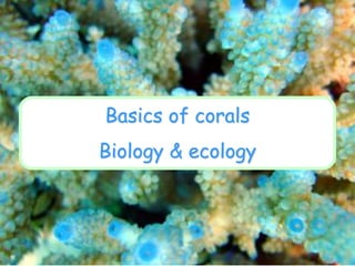 Basics of corals
Biology & ecology
 
