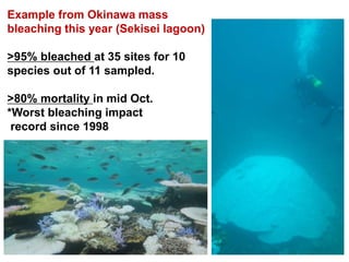Example from Okinawa mass
bleaching this year (Sekisei lagoon)
>95% bleached at 35 sites for 10
species out of 11 sampled.
>80% mortality in mid Oct.
*Worst bleaching impact
record since 1998
 