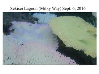 Sekisei Lagoon (Milky Way) Sept. 6, 2016
 
