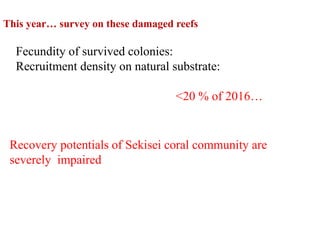This year… survey on these damaged reefs
Fecundity of survived colonies:
Recruitment density on natural substrate:
<20 % of 2016…
Recovery potentials of Sekisei coral community are
severely impaired
 