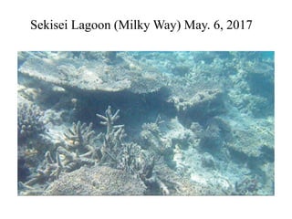 Sekisei Lagoon (Milky Way) May. 6, 2017
 