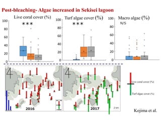 Post-bleaching- Algae increased in Sekisei lagoon
Live coral cover (%)
Kojima et al.
Turf algae cover (%) Macro algae (%)
*** *** N/S
Live coral cover (%)
Turf algae cover (%)
 
