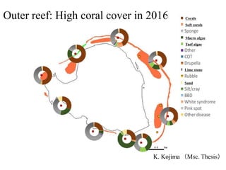 Outer reef: High coral cover in 2016 Corals
Soft corals
Macro algae
Turf algae
Lime stone
Sand
K. Kojima （Msc. Thesis）
 