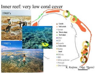 1960’s
1980’s
Inner reef: very low coral cover
Corals
Soft corals
Macro algae
Turf algae
Lime stone
Sand
2010’s
K. Kojima （Msc. Thesis）
 