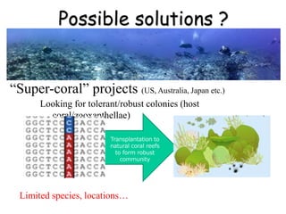 Possible solutions ?
Looking for tolerant/robust colonies (host
coral/zooxanthellae)
“Super-coral” projects (US, Australia, Japan etc.)
Transplantation to
natural coral reefs
to form robust
community
Limited species, locations…
 