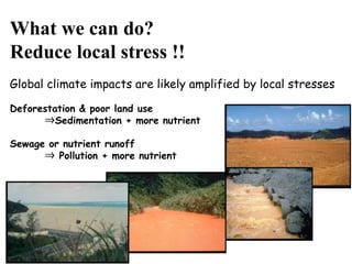 What we can do?
Reduce local stress !!
Global climate impacts are likely amplified by local stresses
Deforestation & poor land use
⇒Sedimentation + more nutrient
Sewage or nutrient runoff
⇒ Pollution + more nutrient
 