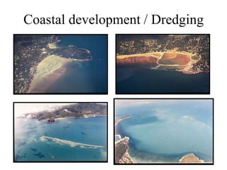Coastal development / Dredging
 