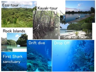 Eco-tour
Kayak-tour
Snorkel-tour
Drop Off
First Shark
sanctuary
Rock Islands
Drift dive
 