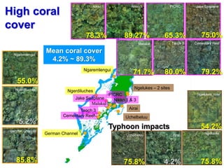 High coral
cover
Mean coral cover
4.2% ~ 89.3%
German Channel
Ngaremlengui
Ngerdiluches
Ngaremlengui
Ngerdiluches
German Channel
55.0%
5.2%
85.8%
Ngelukes – 2 sites
Airai
Uchelbeluu
Uchelbeluu Airai
Ngelukes
Ngelukes_river
75.8% 75.8%
54.2%
4.2%
Nikko 1 & 3
Malakal
Taoch 3
Cementary Reef
Jake Seaplane
PICRC
PICRCNikko3Nikko1 Jake Seaplane
Malakal Taoch 3 Cementary Reef
89.27%78.3% 65.3% 75.0%
71.7% 80.0% 79.2%
Typhoon impacts
 