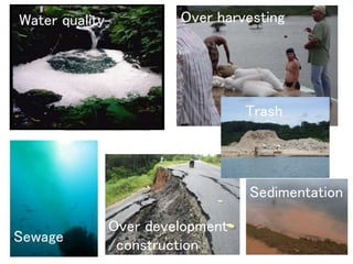 Water quality Over harvesting
Trash
Sedimentation
Over development
/construction
Sewage
 