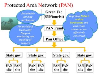 PAN Fund
Pan Office
Green Fee
($30/tourist)
State gov. State gov. State gov.State gov.
PAN
site
PAN
site
PAN
site
PAN
site
PAN
site
PAN
site
PAN
site
PAN
site
To protect Palau’s
critical
biodiversity and
ensure the
resources are
effectively
conserved
Sustainable
funding
mechanism
Protected Area Network (PAN)
Financially &
technically
Support
monitoring and
training of
rangers
 