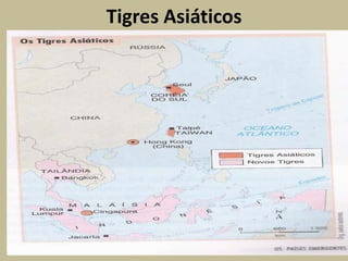 Tigres Asiáticos
 